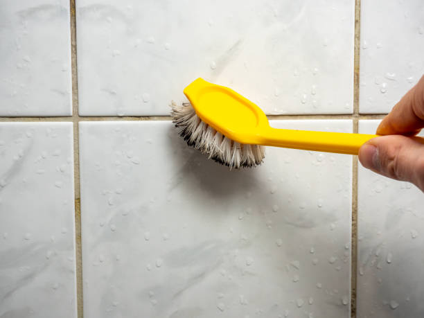 Trusted Pine Bush, NY Mold Removal Experts