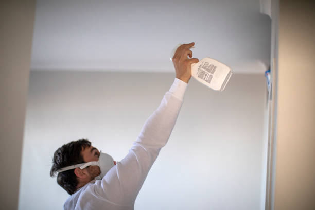 Best Fast Mold Removal  in Pine Bush, NY