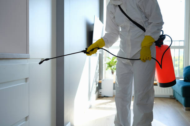 Best Residential Mold Removal  in Pine Bush, NY